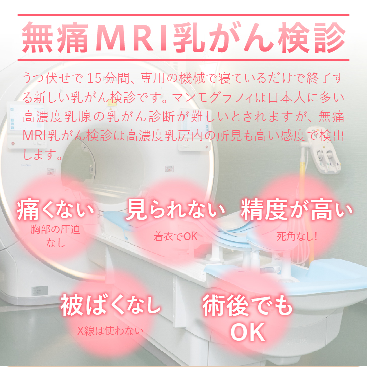 【ふるさと納税】 無痛MRI乳がん検診利用券 [BM003]