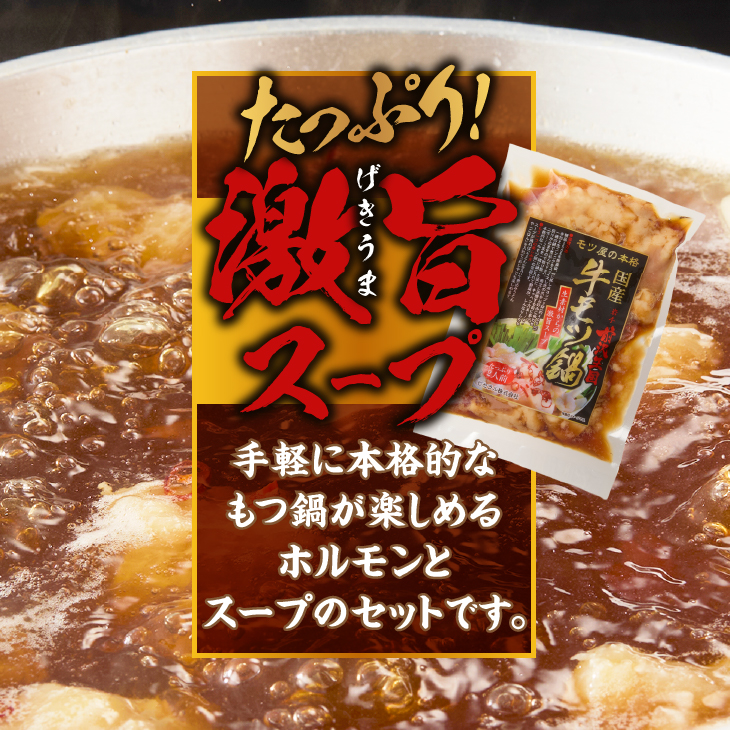 【ふるさと納税】国産牛 もつ鍋 2~3人前×5パック 計10～15人前 [BX001]