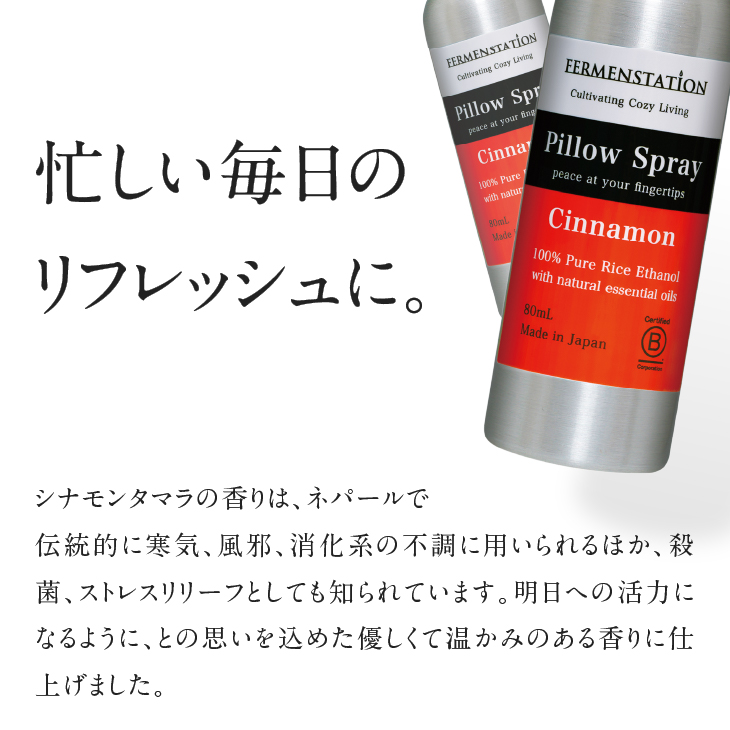 【12月15日で受付終了】お米でできたピロースプレーシナモン[D0020]