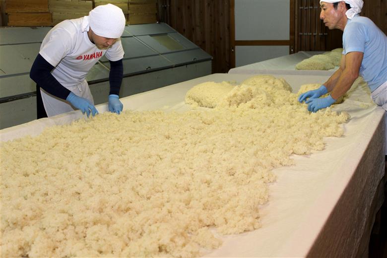  純米吟醸 阿弖流為 720ml [G0030]