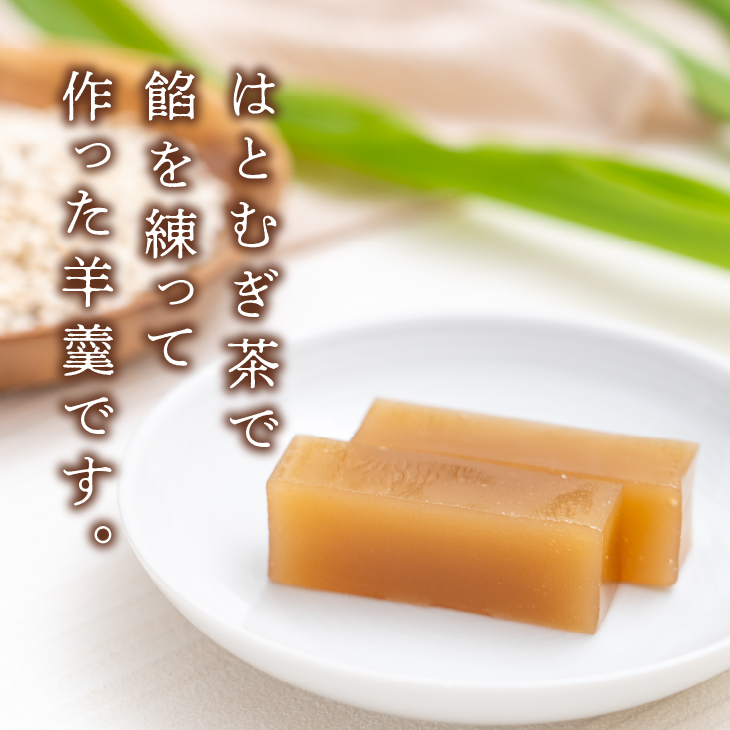  奥州市産ハトムギようかん(奥州羊羹「衣川の関」)6本セット [L0004]