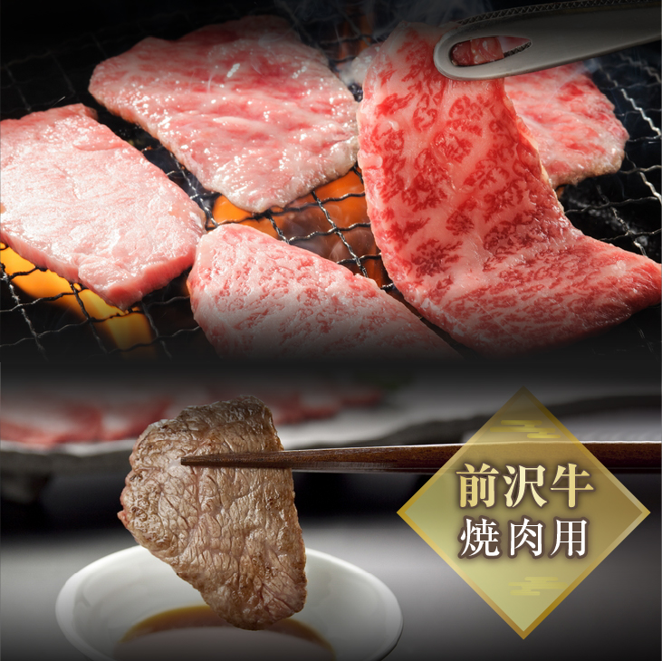 前沢牛入りハンバーグ（5個）と前沢牛焼肉用500gの詰め合わせ[ME001]