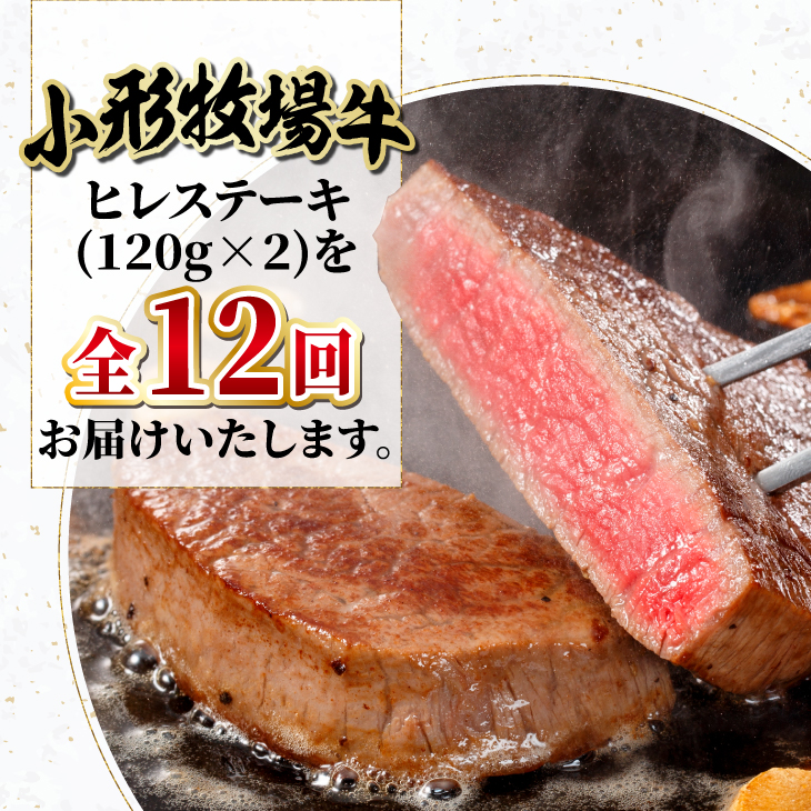 定期便【冷蔵】小形牧場牛 ヒレステーキ 12か月 定期便 120g×2枚 離島配送不可(全12回) [ME017]