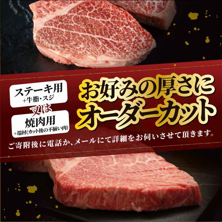 【冷蔵】前沢牛 ヒレ ステーキ 1本分 4.5~5kg 離島配送不可 オーダーカット [ME019]