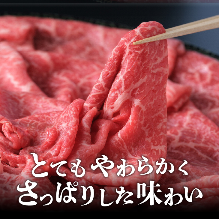 前沢牛 赤身皿盛りすきやき・しゃぶしゃぶ用（500g） 柔らかいなのにさっぱりした赤身！【冷蔵発送】ブランド牛 離島配送不可 [ME023]