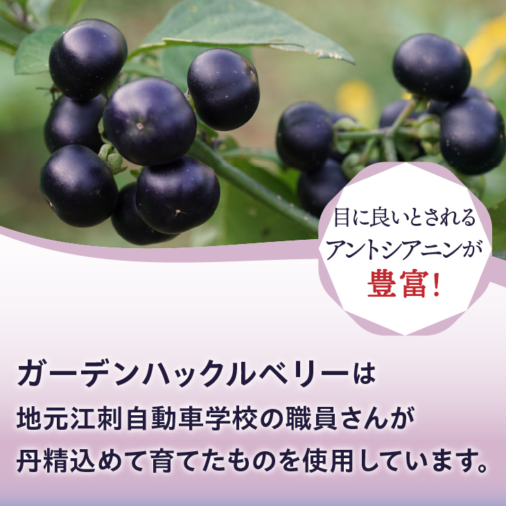 ガーデンハックルベリーどら焼とガーデンサンドセット どら焼12個入 ガーデンサンド6個入 新食感 岩手県奥州市産ガーデンハックルベリー使用[N0007]