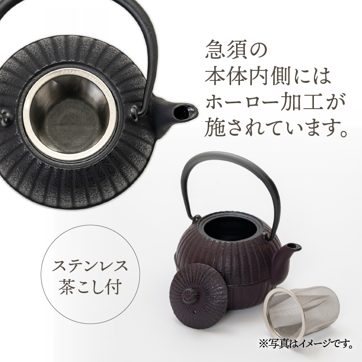 くつろぐお茶セット【黒(南部鉄器急須カラー) 0.4L】 [RE014]