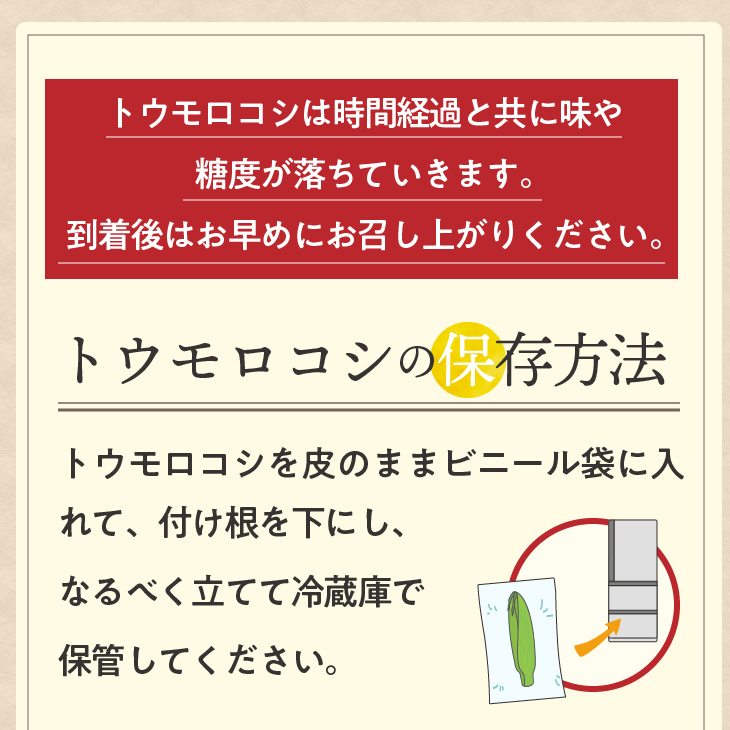 【先行予約】とうもろこし 大和ルージュ10本【数量限定】2026年9月上旬から出荷 離島配送不可 [T0018]