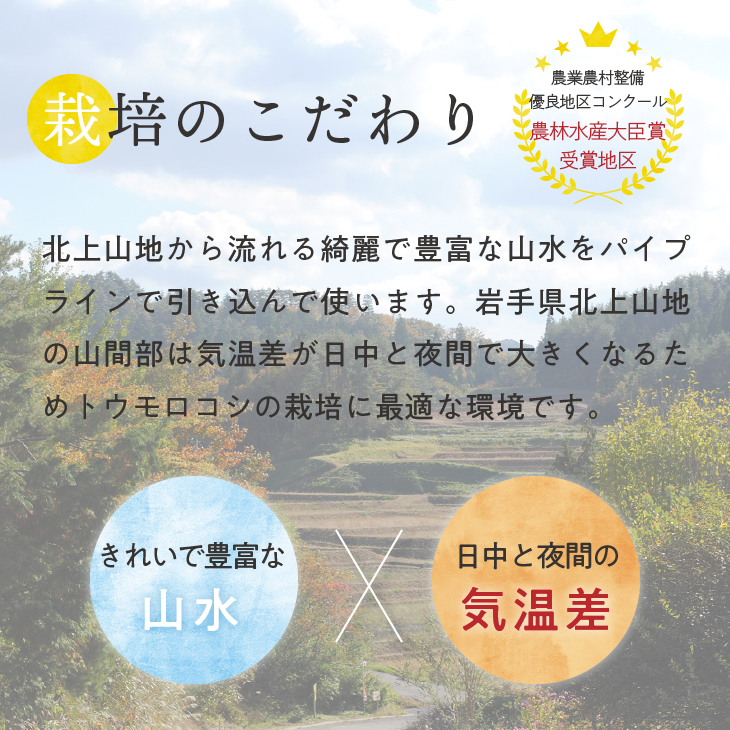 【先行予約】とうもろこし ドルチェドリーム5本 【数量限定】 2026年7月中旬から出荷 離島配送不可 [T0029]
