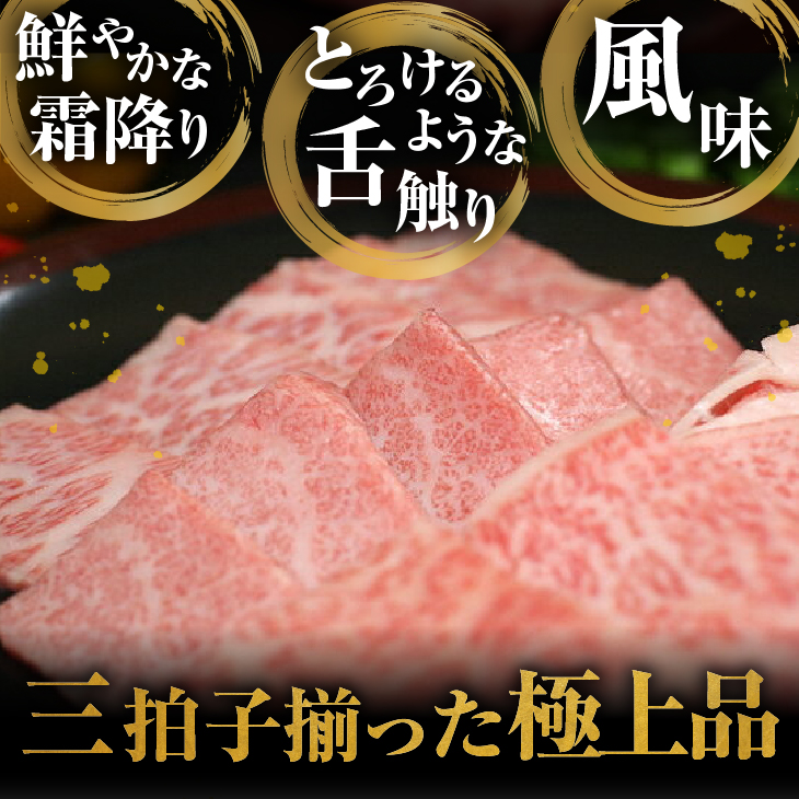 【12月1日より価格改定】前沢牛贅沢三昧《焼肉》(カルビ100g・上カルビ100g・ロース100g) ブランド牛肉 離島配送不可 [U0047]