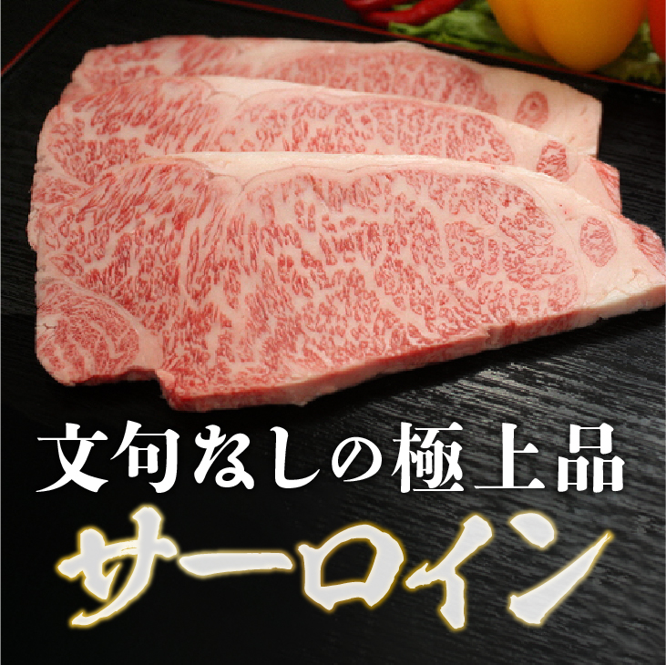 【12月1日より価格改定】【冷蔵】 前沢牛 食べ比べ フィレステーキ150g サーロインステーキ200g セット 離島配送不可 [U0200]