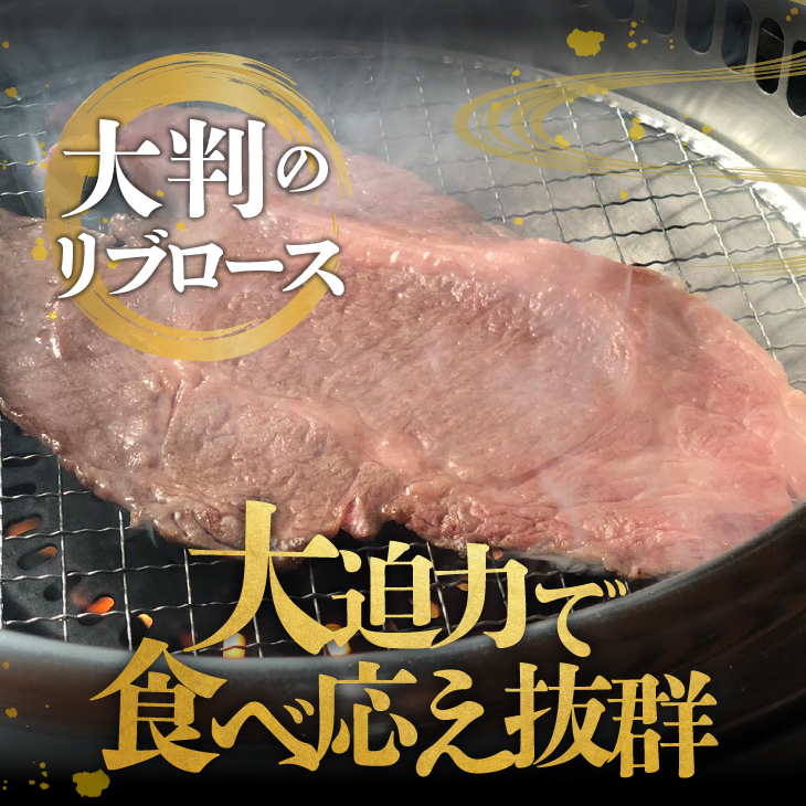 【冷凍】 前沢牛 リブロース 大判焼き 500g [U0209]