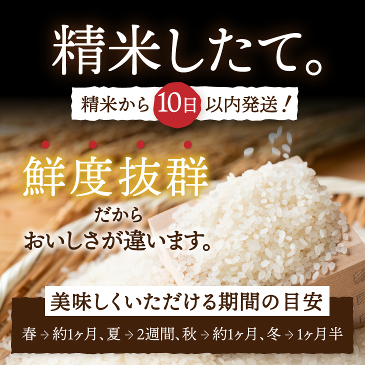 【定期便】 全3回定期便☆ 岩手ふるさと米 20kg(5kg×4)×3ヶ月 令和7年産 一等米ひとめぼれ 東北有数のお米の産地 岩手県奥州市産 【配送時期に関する変更不可】 [U0220]