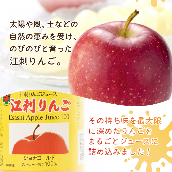 江刺りんごジュース ジョナレギュラー（1000ml瓶×6本）江刺産ジョナゴールド使用 ストレート果汁100％[A0046]