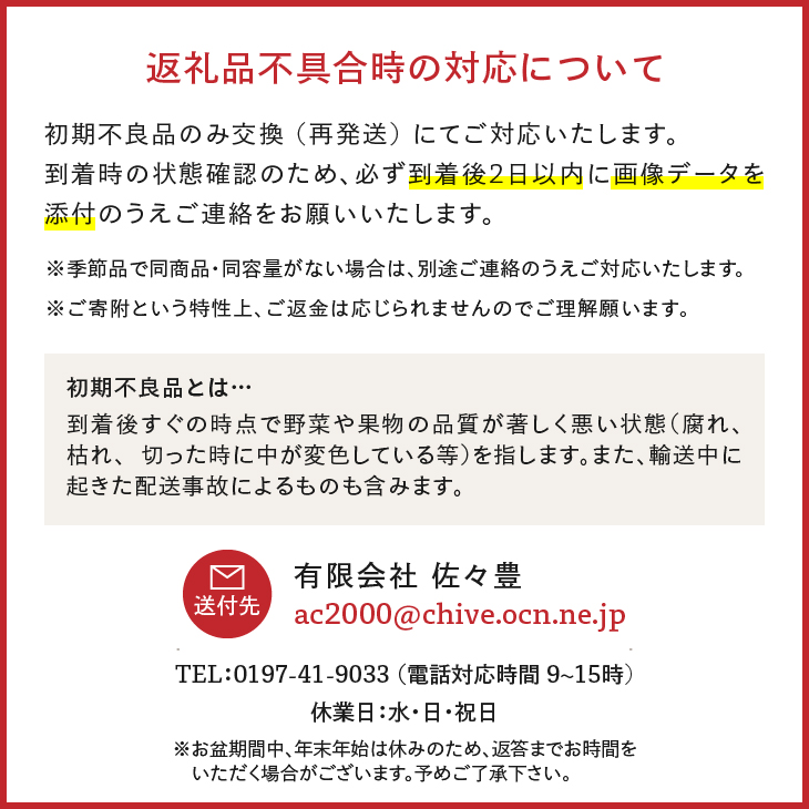 奥州市産りんご 赤い誘惑 「サンふじ」 約10kg(28~40玉) [AQ080]
