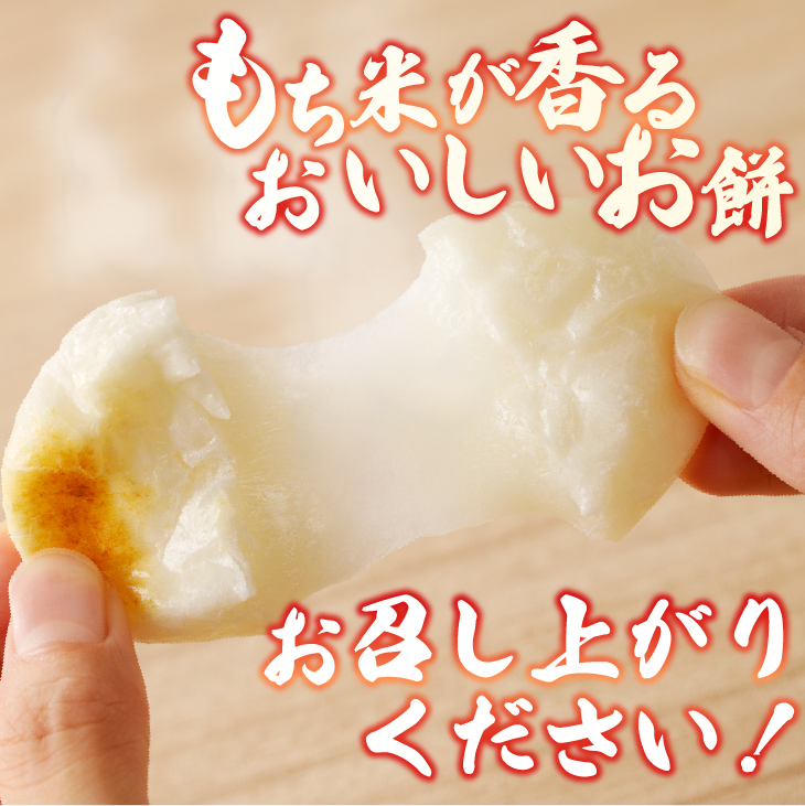 低温製法米の生まるもち 9.6kg [AV012]