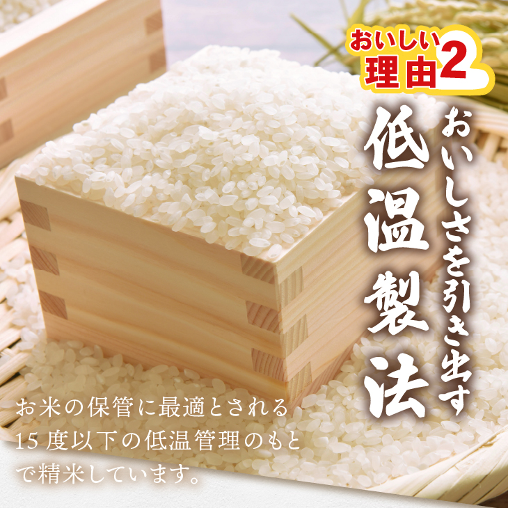 低温製法米の生まるもち 10kg[AV021]