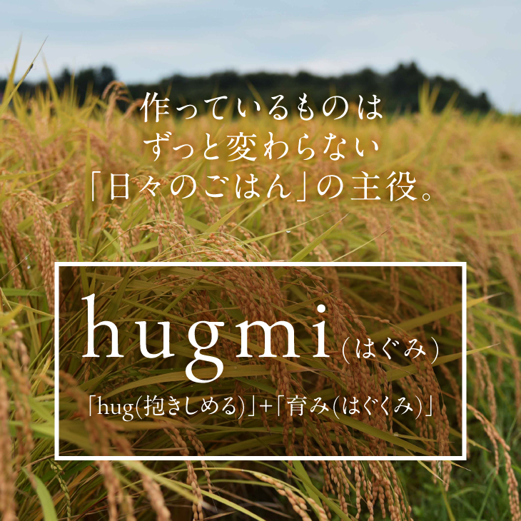 特別栽培米 hugmiのお米 奥州江刺産 ひとめぼれ 約9kg (約4.5kg × 2袋) 白米 [BJ008]