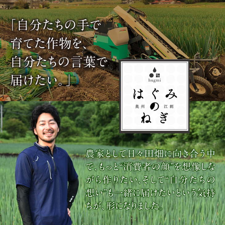 hugmiの長ねぎ 6kg (3kg×2個) 2Lサイズ 離島配送不可 [BJ013]