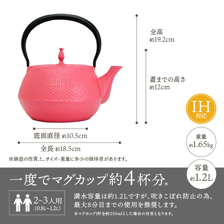 南部鉄器 鉄瓶 末広アラレピンク 1.2L[BS049]