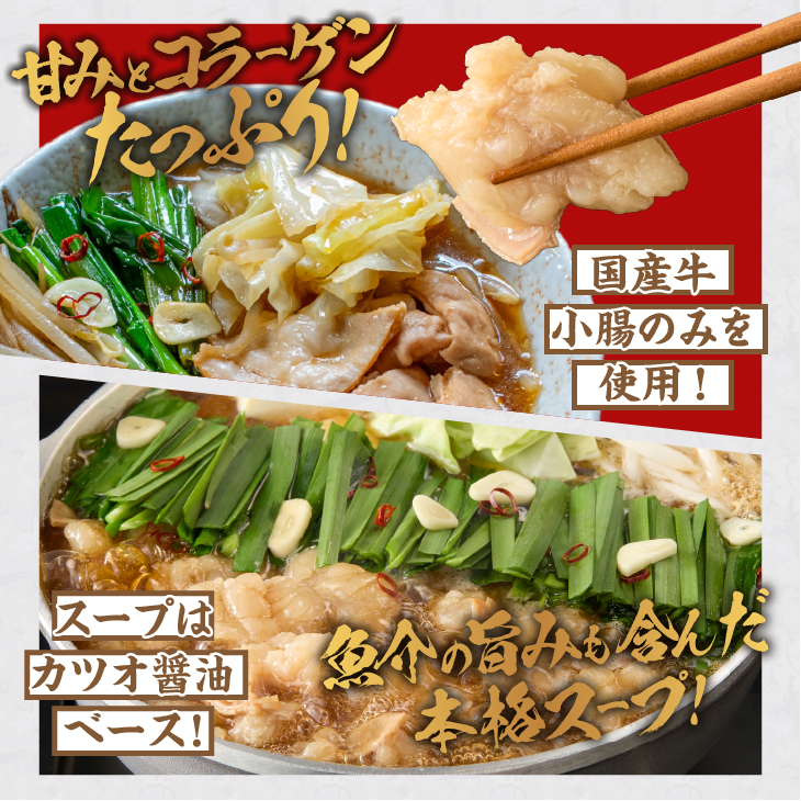 【ふるさと納税】国産牛 もつ鍋 2~3人前×5パック 計10～15人前 [BX001]