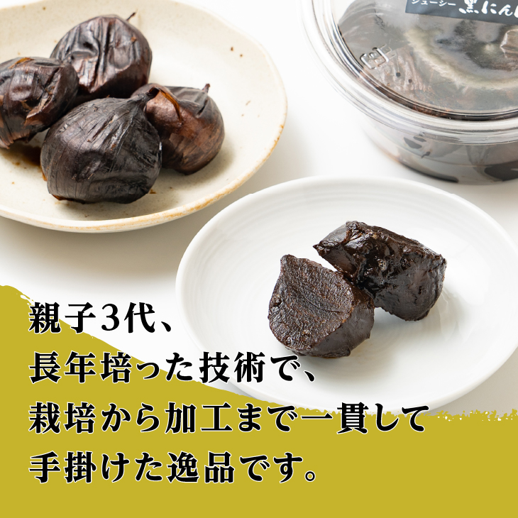 まるで果実みたいな ジューシー黒にんにく 250g×2個[CA001]