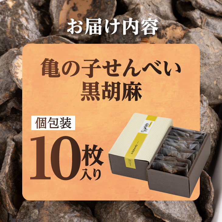 亀の子 煎餅 黒胡麻 10枚入り 個包装 [CD001]