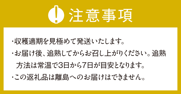 【令和8年産先行受付】黄色の甘い ネットメロン ムーンライト [T0025]
