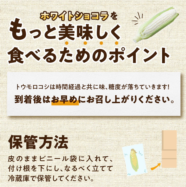 【先行予約】白いとうもろこし奥州ペルル(ホワイトショコラ) 5本【数量限定】2026年7月中旬から出荷 離島配送不可 [T0028]