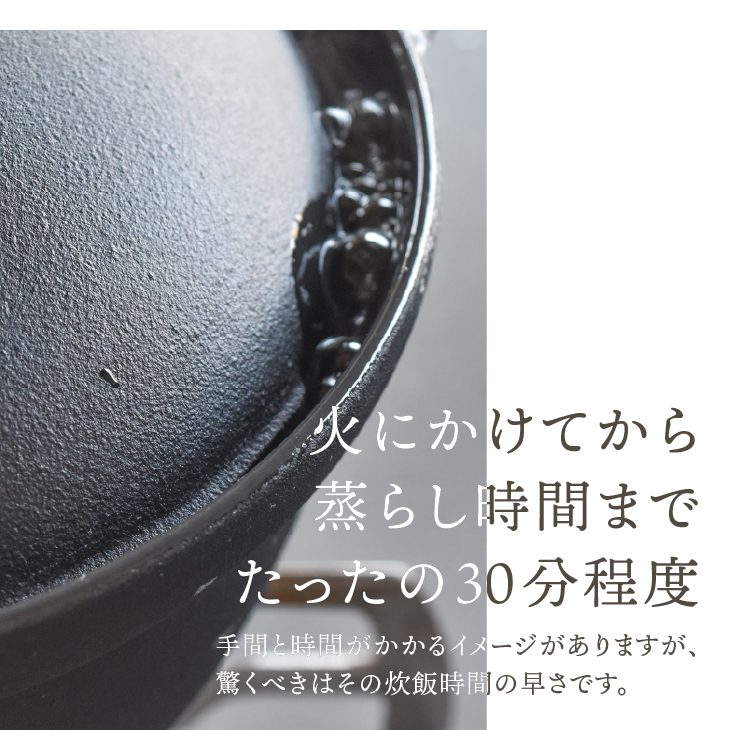南部鉄器 南部ごはん釜5合炊 IH調理器 伝統工芸品［Z0049］
