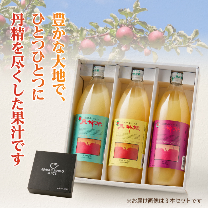 江刺りんごジュース 三姉妹（1000ml瓶×6本）江刺産サンつがる、ジョナゴールド、サンふじ使用 ストレート果汁100％[A0045]