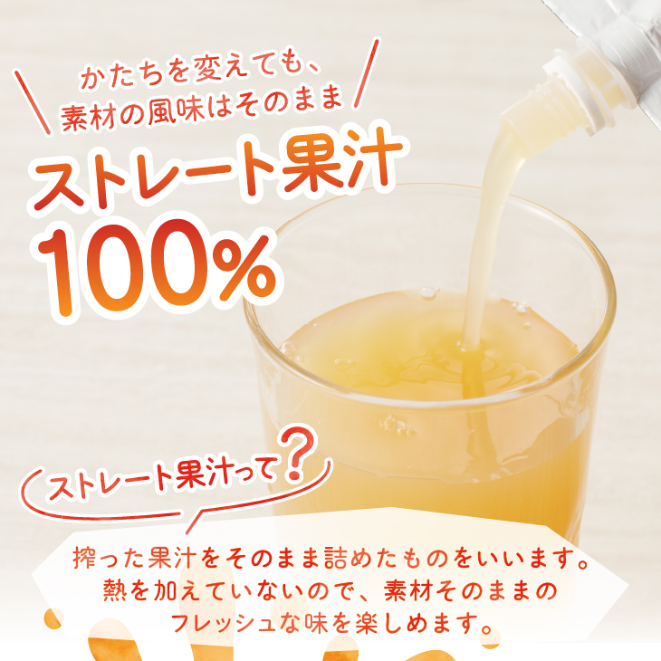 江刺りんごジュース りんごの滴 （パウチタイプ）江刺産 サンふじ つがる 使用 195ml×24個 リンゴ 林檎  飲料ドリンク 果汁飲料 フルーツジュース フルーツ 果物 [A0049]