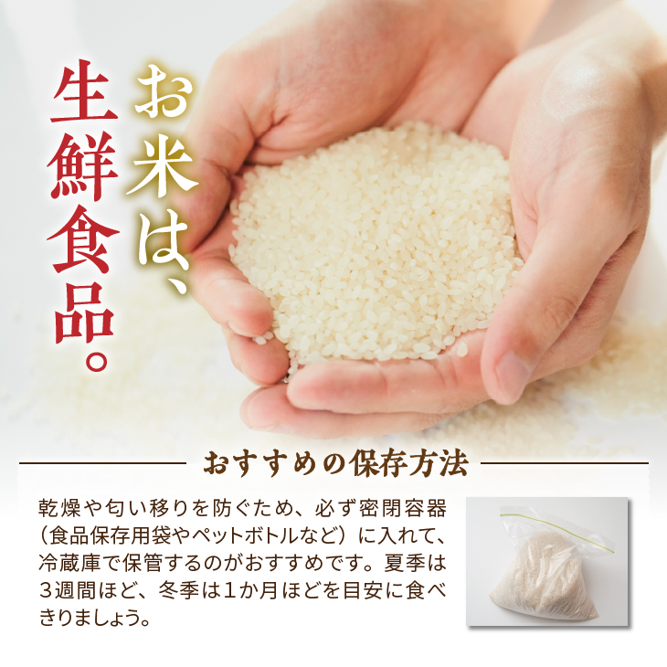【令和7年産】【白米5kg】新米 新登場の高級米 岩手県奥州市産 金色の風  白米5キロ [AC027]