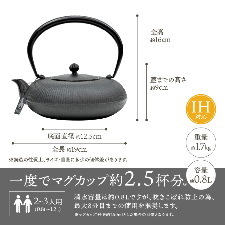 南部鉄器 鉄瓶 立目 黒 0.8L IH調理器 伝統工芸品 やかん ケトル キッチン用品 食器 日用品 雑貨[AK024]