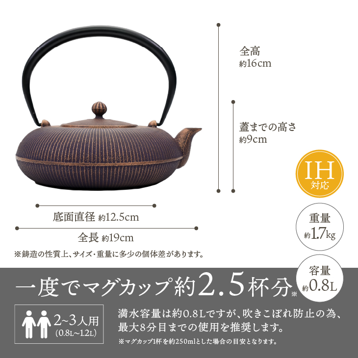 南部鉄器 鉄瓶 立目 紫金 0.8L 【及富作】 IH調理器 伝統工芸品 やかん ケトル キッチン用品 食器 日用品 雑貨 [AK027]