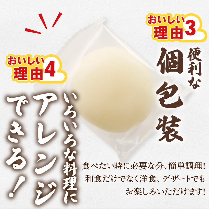 低温製法米の生まるもち 10kg[AV021]