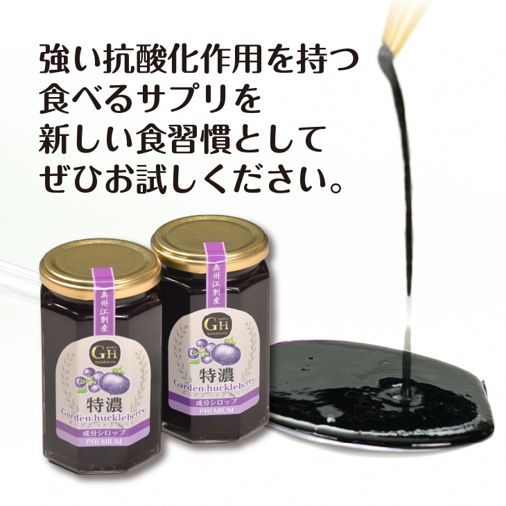 GH(ガーデンハックルベリー) 特濃シロップ300g×2個 岩手県奥州市江刺産 [BB005]