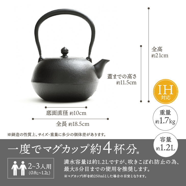南部鉄器 鉄瓶 寒梅美肌鉄瓶 ～BIHADA～ 1.2L IH調理器 伝統工芸品 やかん ケトル キッチン用品 食器 日用品 雑貨 [BE002]