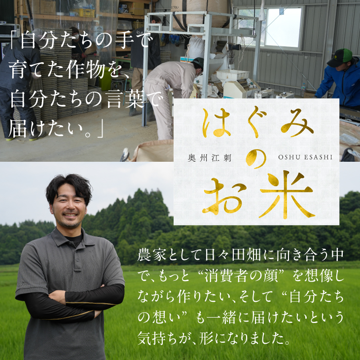 特別栽培米 hugmiのお米 奥州江刺産 ひとめぼれ 約9kg (約4.5kg × 2袋) 白米 [BJ008]