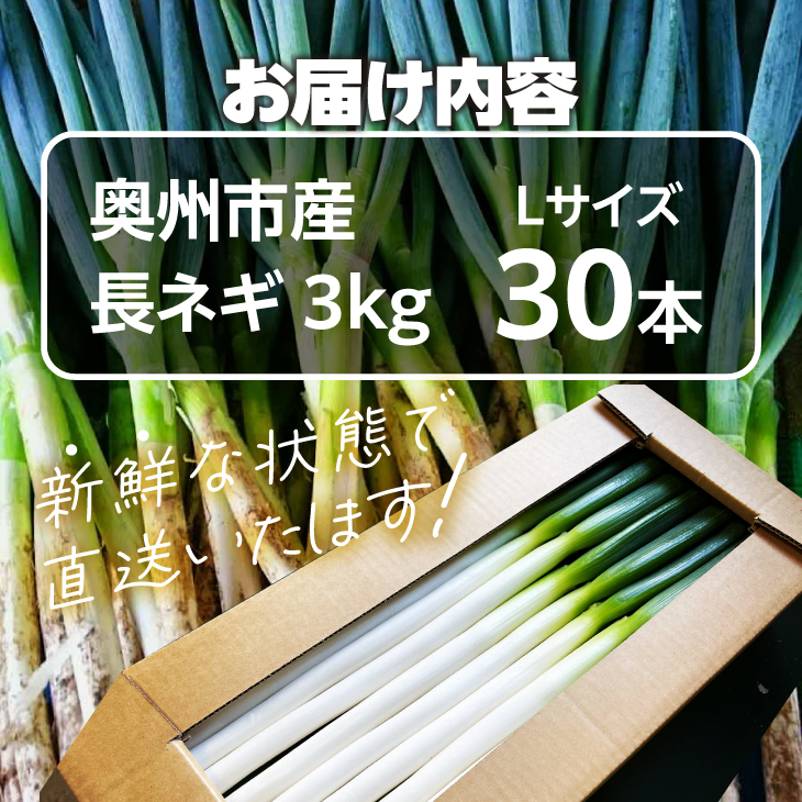  hugmiの長ねぎ 3kg Lサイズ 離島配送不可 [BJ010]