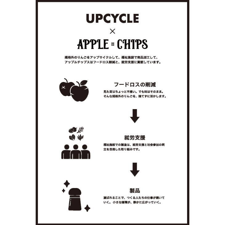 APPLECHIPS(リンゴチップス)×5個セット [BW002]