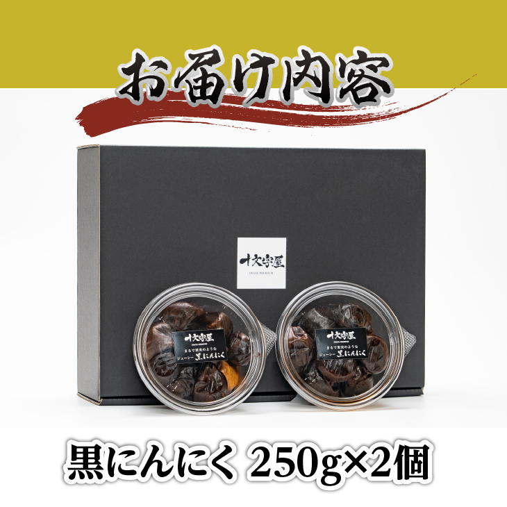 まるで果実みたいな ジューシー黒にんにく 250g×2個[CA001]