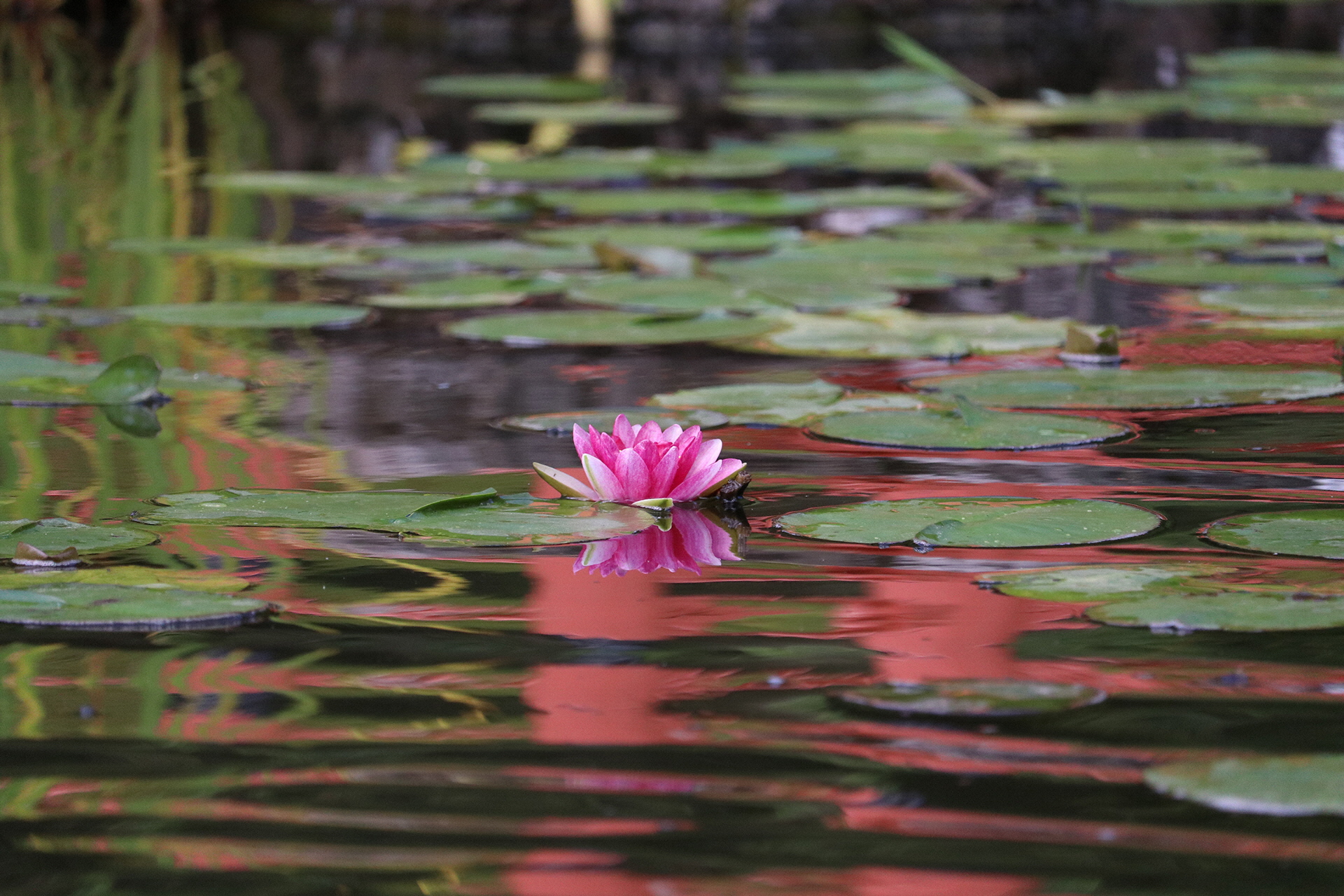 平安時代風 男の子衣装体験(身長95cm～130cm)1名様分 [RE004]