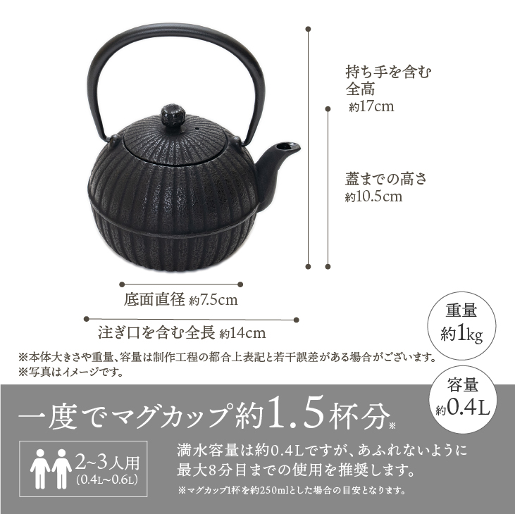 くつろぐお茶セット【黒(南部鉄器急須カラー) 0.4L】 [RE014]
