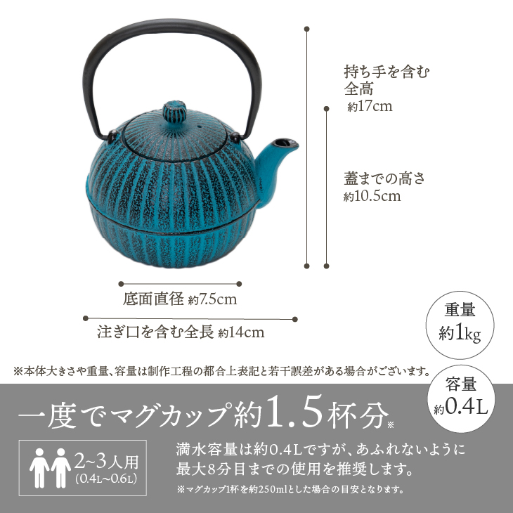 くつろぐお茶セット【水色(南部鉄器急須カラー) 0.4L】 [RE015]