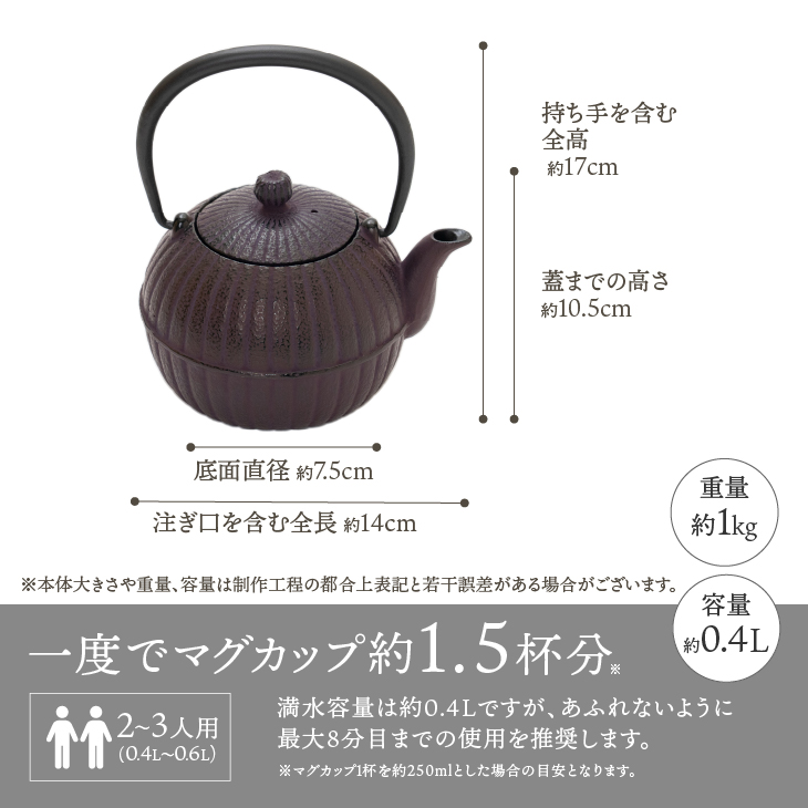 くつろぐお茶セット【紫（南部鉄器急須カラー） 0.4L】 [RE016]