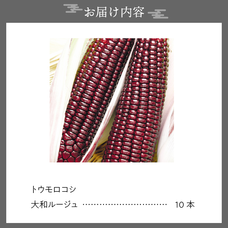 【先行予約】とうもろこし 大和ルージュ10本【数量限定】2026年9月上旬から出荷 離島配送不可 [T0018]