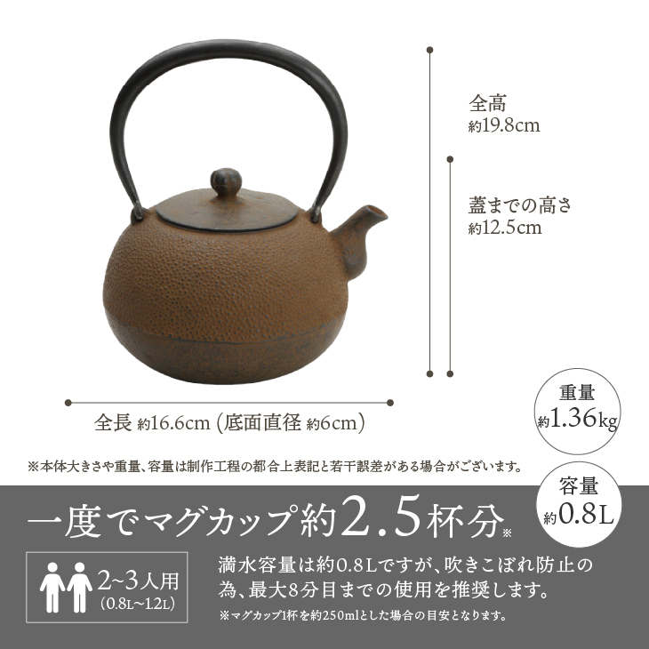 南部鉄器 鉄瓶 丸形梨地アラレ 0.8L 【伝統工芸士 菊池 真吾 作】 伝統工芸品 [Y0097]