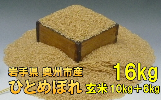 【令和7年産】【玄米16kg】新米 人気沸騰の米 岩手県奥州市産ひとめぼれ 令和7年産 玄米16キロ【7日以内発送】 [AC016]
