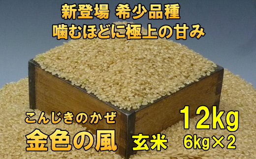 【令和7年産】【玄米12kg】新米 新登場の高級米 岩手県奥州市産 金色の風  玄米12kg（6kg×2） [AC031]